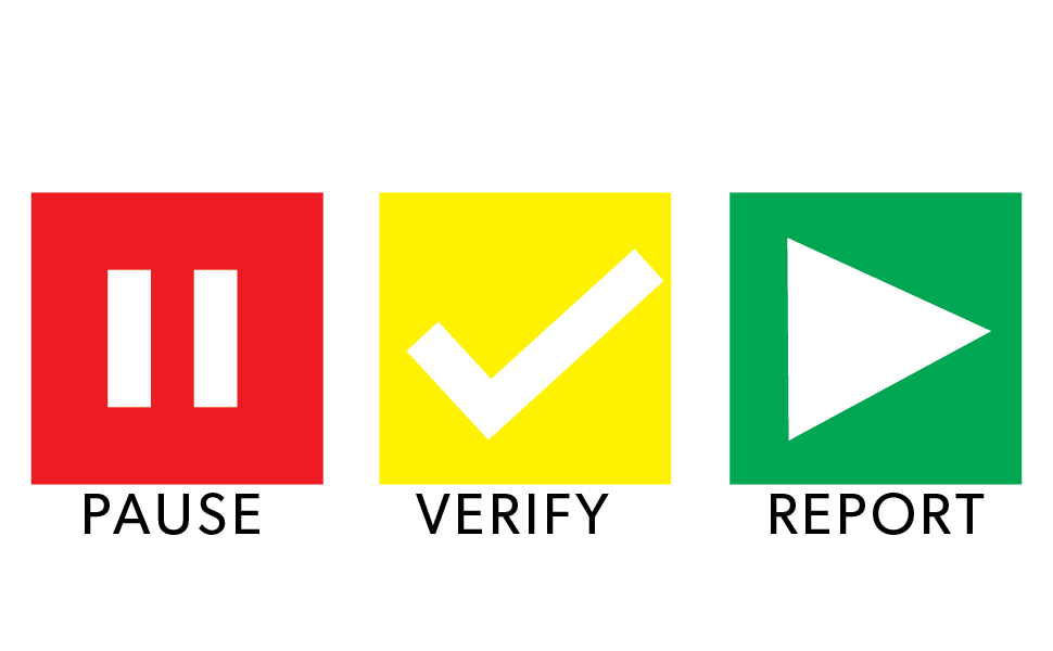 Pause Verify Report logo