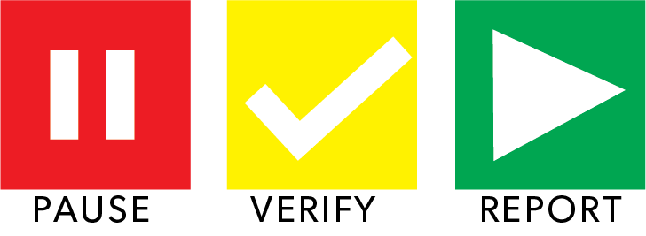 The Pause Verify Report logo