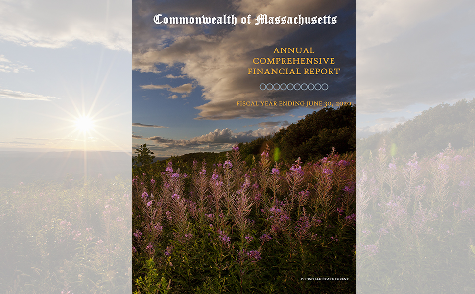 The cover of the Annual Comprehensive Financial Report for the Fiscal Year Ending June 30, 2020, depicting Pittsfield State Forest.