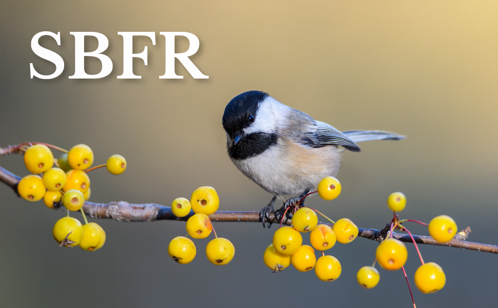 SBFR cover with chickadee