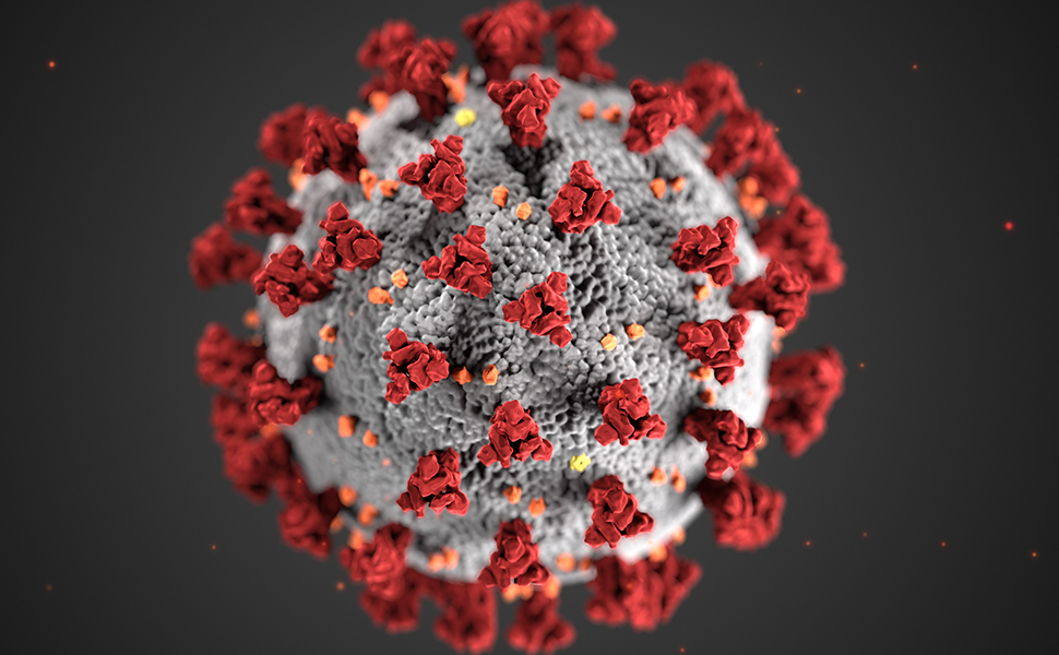 A rendering of a coronavirus virus